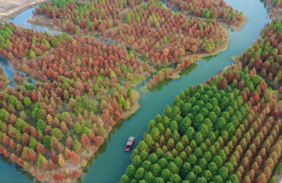 微信图片_20211201143103