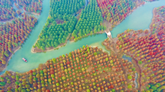 微信图片_20211201143107