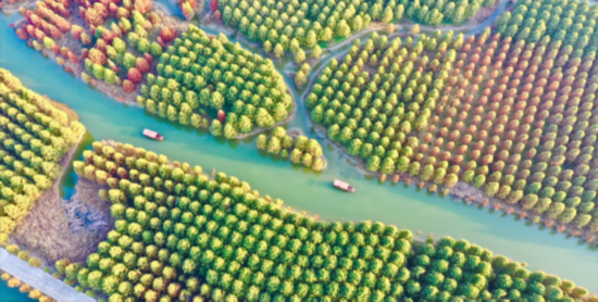 微信图片_20211201143118