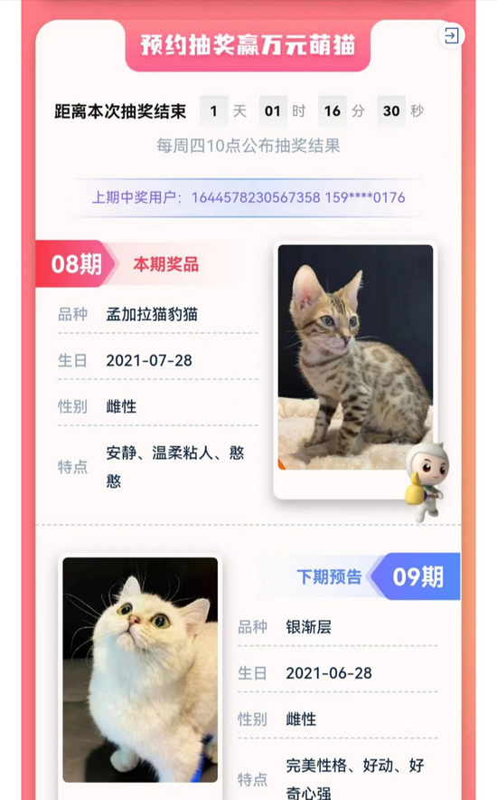 ▲近日,某银行广东分行推出抽奖活动奖励“万元萌猫”。图/涉事银行官方微信公众号截图