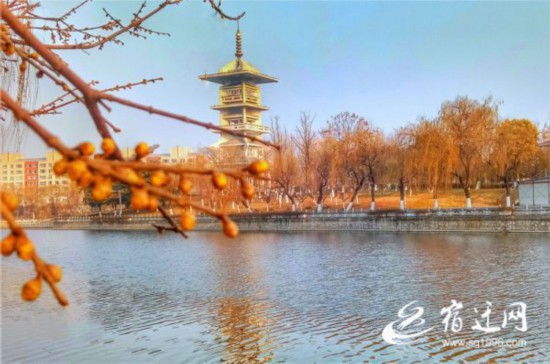 bc06103138593935d319f99f215c91208b1e9ac4