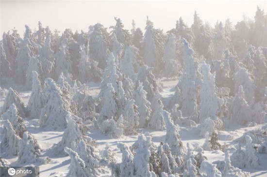 ICPhoto版权作品，请勿转载。