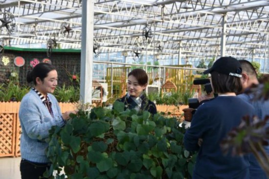 微信图片_20220213091739