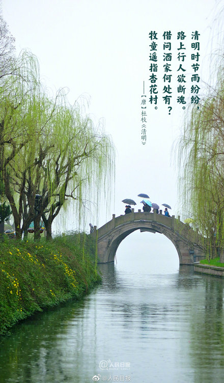 当清明诗词遇上春日美景