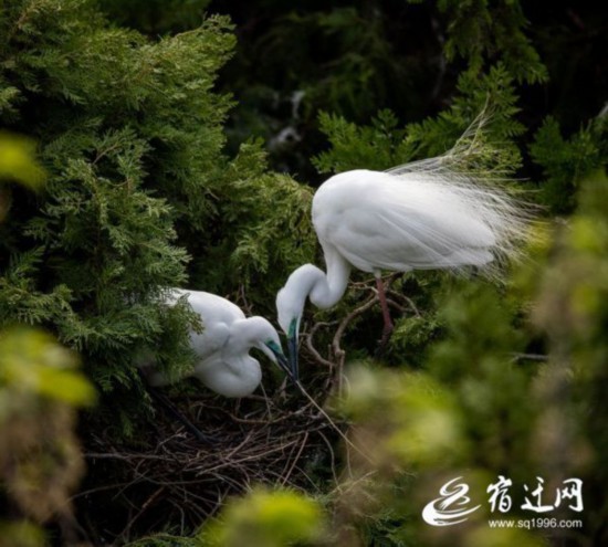 微信图片_20220418085637