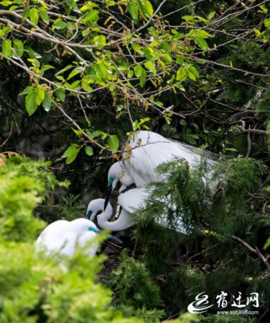 微信图片_20220418085653