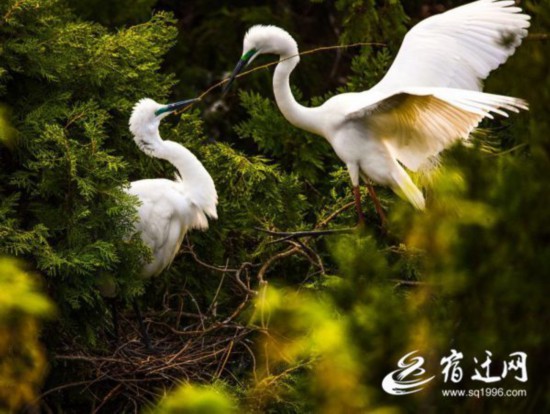 微信图片_20220418085642