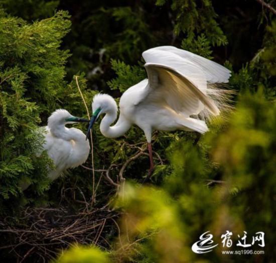 微信图片_20220418085631