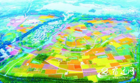 (全媒体)宿迁两处景点获评江苏春季赏花胜(2065775)-20220422081433_毒霸看图