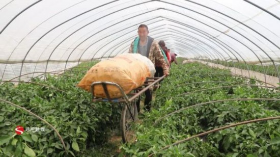 微信图片_20220430134636