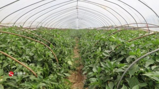 微信图片_20220430134631