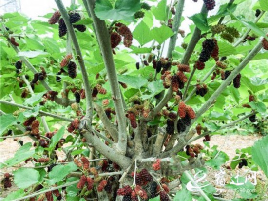 微信图片_20220513093027