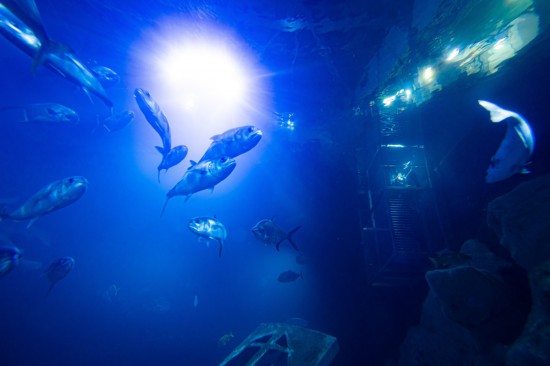 视觉中国版权作品，请勿转载。