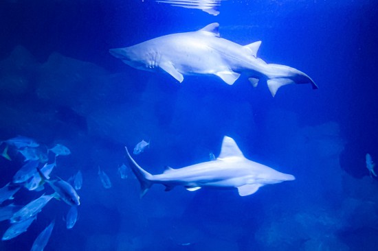 视觉中国版权作品，请勿转载。