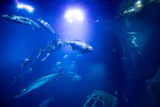 视觉中国版权作品，请勿转载。