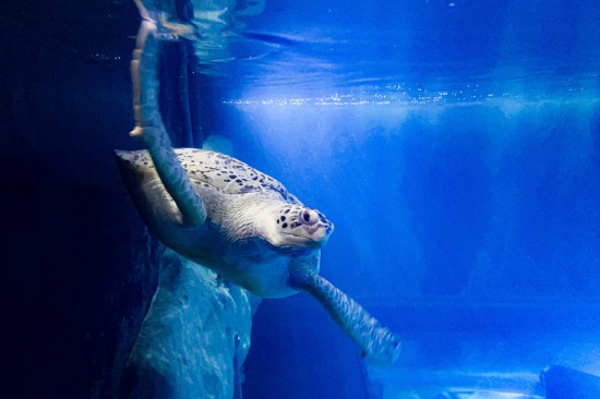 视觉中国版权作品，请勿转载。