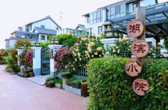 2022841659604248417_86