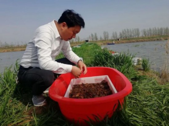 2022841659603946753_86