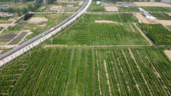 2022841659603853762_86