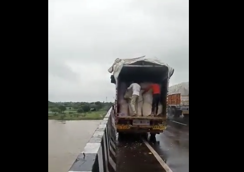 印度农民将大蒜 　　扔进河（印度《自由新闻报》视频截图）