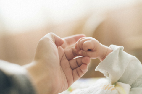 日本2022年上半年新生儿数量为38万人(《每日新闻》)