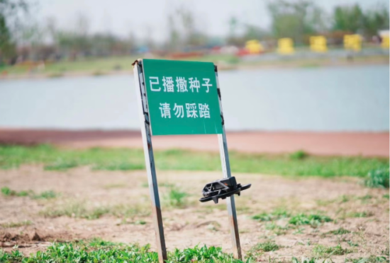 QQ截图20230516115518