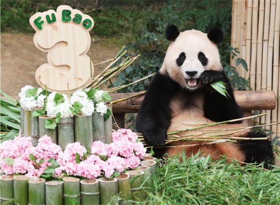 ICphoto版权作品，请勿转载