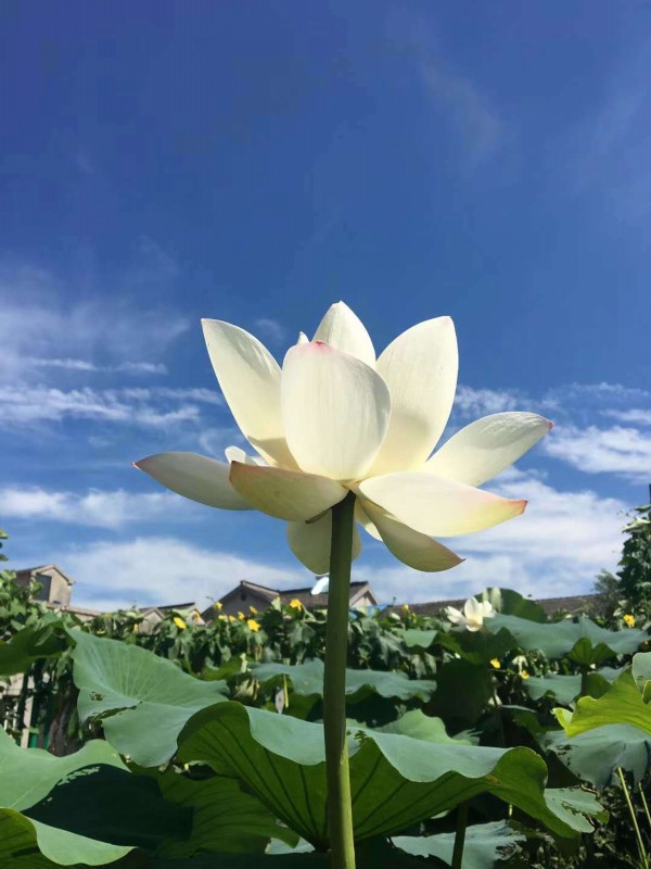 微信图片_20180718181537.jpg