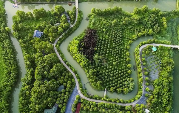 (图为泰州自然风光。图片/视觉江苏网)