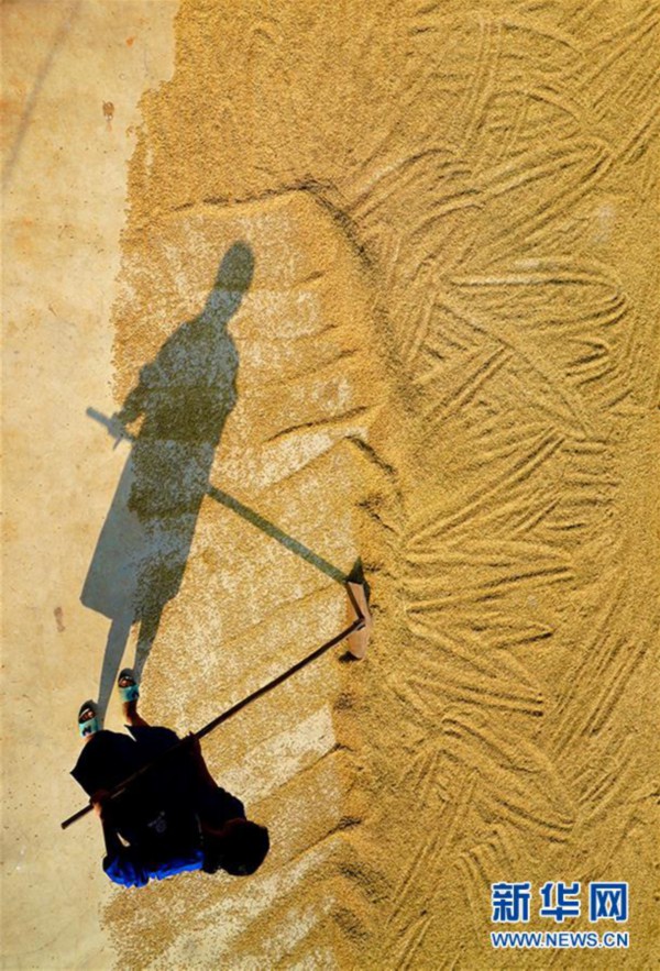 （图片故事）（2）一张婚纱照背后的脱贫故事