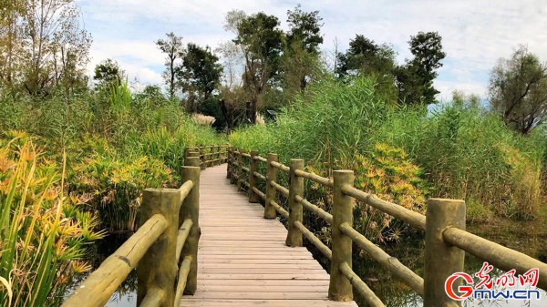 【脱贫攻坚在凉山】生态修复让邛海湿地&ldquo;胖&rdquo;起来