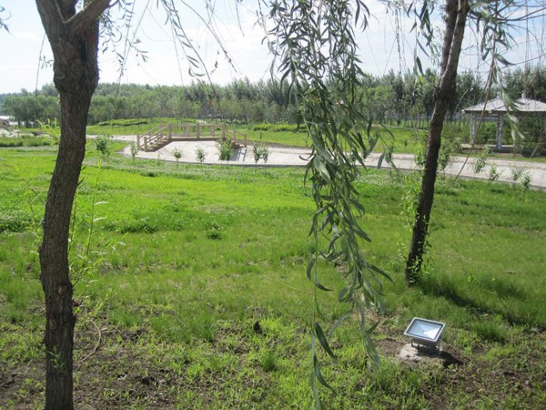 美丽乡村&middot;黑龙江永兴村：为何&ldquo;高档小区&rdquo;去选择在此出现？【15】