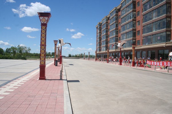 美丽乡村&middot;黑龙江永兴村：为何&ldquo;高档小区&rdquo;去选择在此出现？【4】