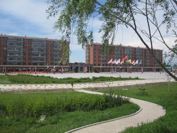 美丽乡村&middot;黑龙江永兴村：为何&ldquo;高档小区&rdquo;去选择在此出现？【9】