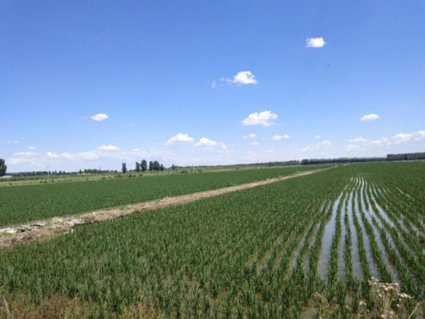 美丽乡村&middot;天津杨泗村：小村旧颜换新颜，只为留住乡愁【21】