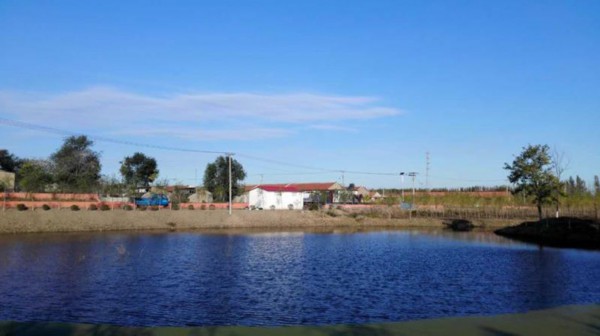 美丽乡村&middot;天津杨泗村：小村旧颜换新颜，只为留住乡愁【23】