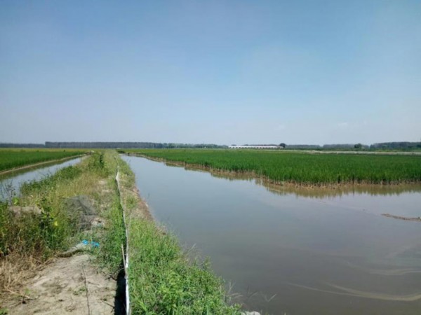 美丽乡村&middot;天津杨泗村：小村旧颜换新颜，只为留住乡愁