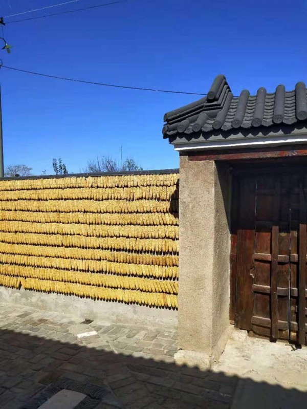 美丽乡村&middot;天津杨泗村：小村旧颜换新颜，只为留住乡愁【12】