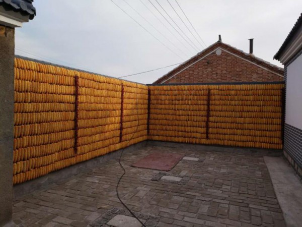 美丽乡村&middot;天津杨泗村：小村旧颜换新颜，只为留住乡愁【14】