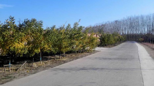 美丽乡村&middot;天津杨泗村：小村旧颜换新颜，只为留住乡愁【22】