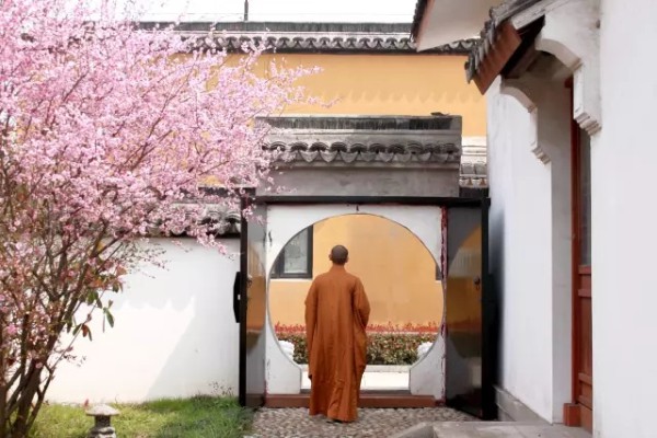 Savor slow-paced idyllic life in Taicang