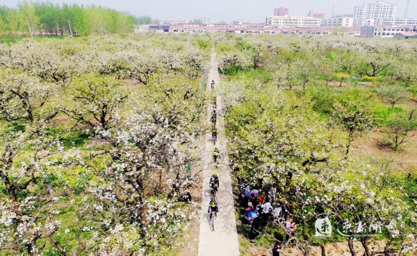 泗阳县爱园镇果园村.jpg