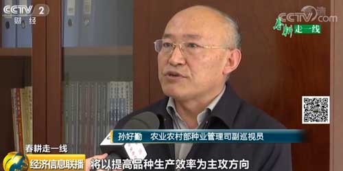 【春耕走一线】产量高更要品质好 水禽自主育种前景广阔