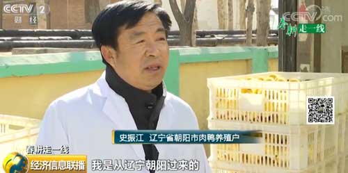 【春耕走一线】产量高更要品质好 水禽自主育种前景广阔