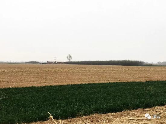  田俊杰的住处在军王庄村边缘