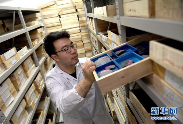 （新华全媒头条&middot;图文互动）（4）探寻5亿年前&ldquo;生命大爆炸&rdquo;之奥秘&mdash;&mdash;中国科学家发现寒武纪&ldquo;化石宝库&rdquo;清江生物群纪实