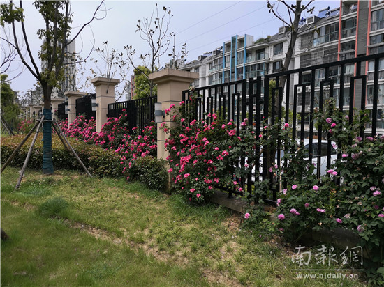 微信图片_20190507200653
