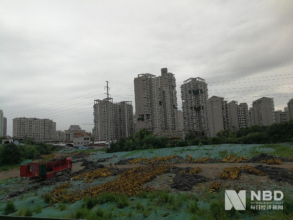 武汉市武昌区中山路昙华林天桥附近大片共享单车废弃，其中绝大部分为小黄车 每经记者 陈晴 摄