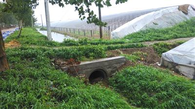 8月12日,寿光市纪台镇,积水汇集到新修建的排水渠内,后排入附近的河流中。 新京报记者 刘名洋 摄