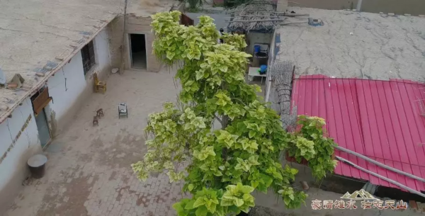 甲子峥嵘，豪情依旧！边疆地平线上那些曾经蓬勃的青春，如皋不会